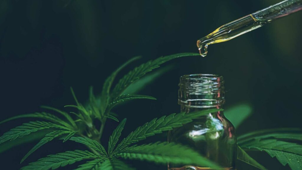 kratom vs cbd