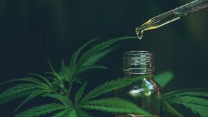 kratom vs cbd